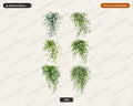 Cascading Greenery Clipart PNG, Hanging Plants Clip Art, Watercolor Botanical Download