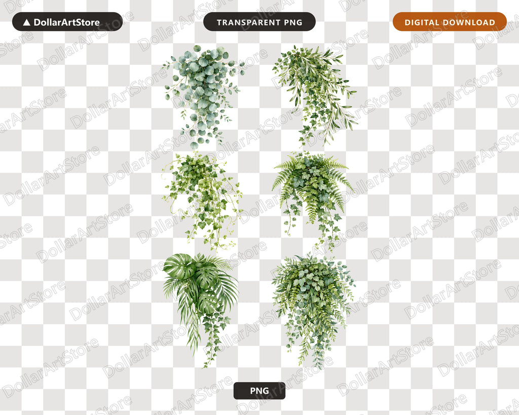 Cascading Greenery Clipart PNG, Hanging Plants Clip Art, Watercolor Botanical Download