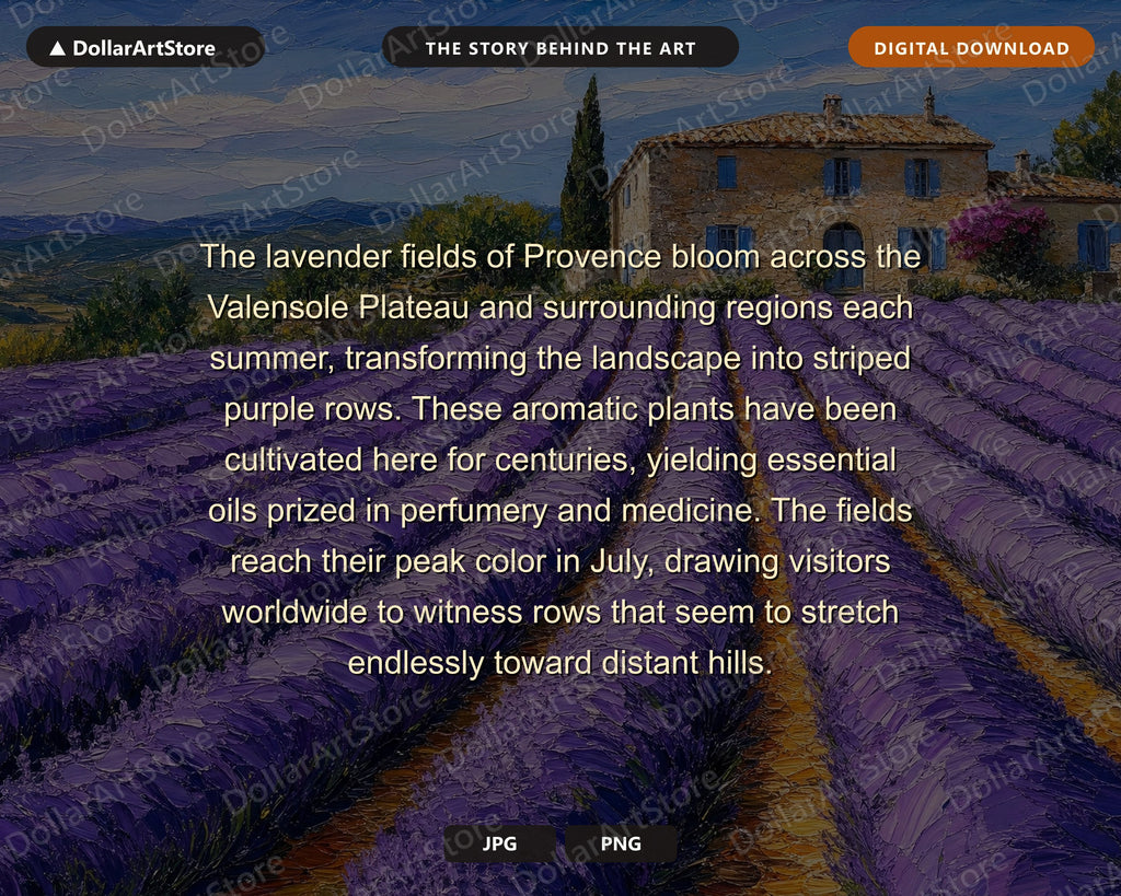 Cozy Provence Lavender Fields Frame TV Art, Samsung Frame TV Digital Download, Rustic Farmhouse Scenery